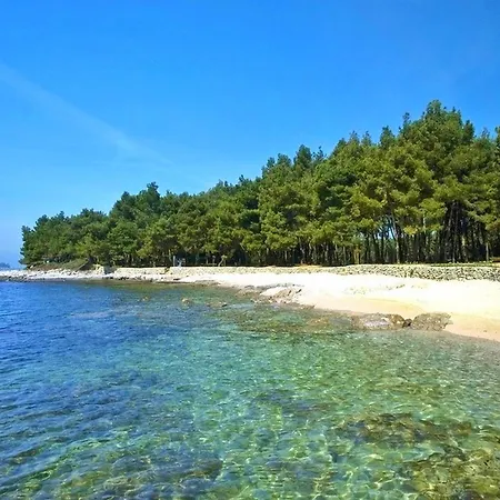 Dragica Διαμέρισμα