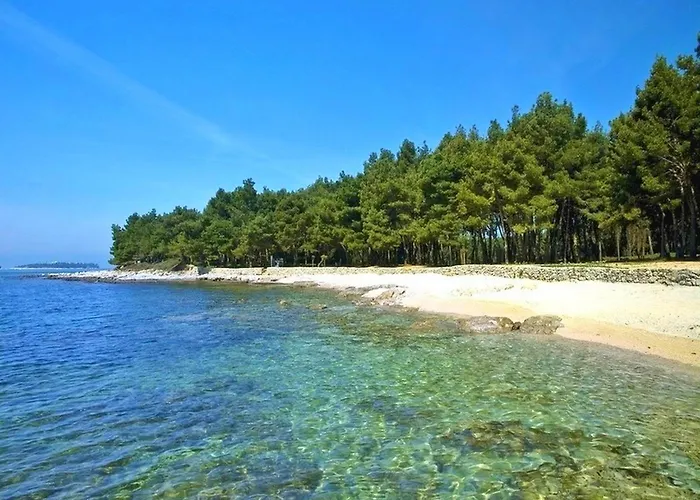 Dragica Διαμέρισμα