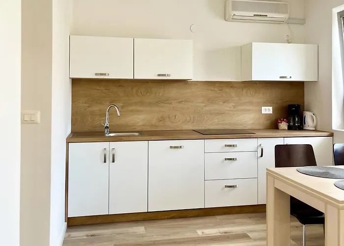 Διαμέρισμα Dragica Ρόβινι